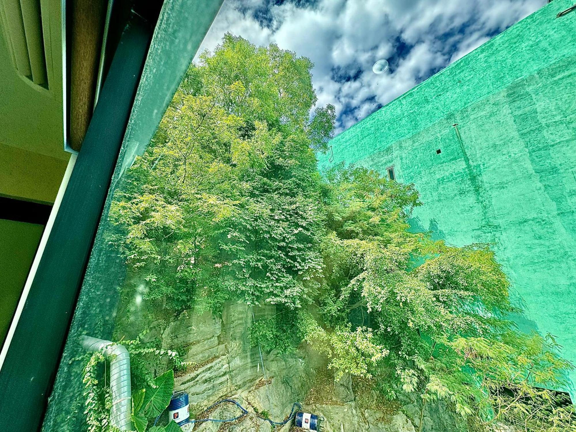 Sunflower Catba Hotel Dong Khe Sau エクステリア 写真